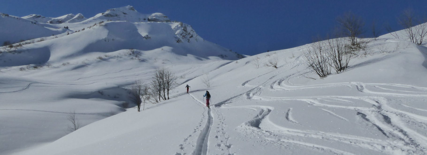 IMG 0467 scaled e1770829267940